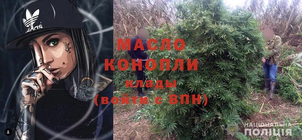 ECSTASY Бородино