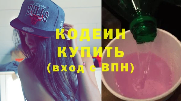 ECSTASY Бородино