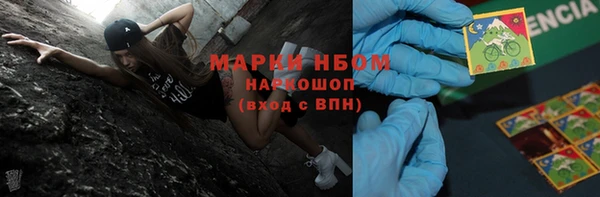 ECSTASY Бородино