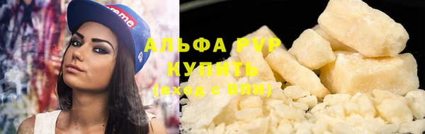 ECSTASY Бородино