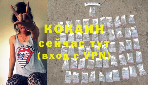 ECSTASY Бородино