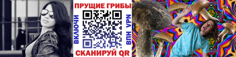 Галлюциногенные грибы Psilocybine cubensis  где можно купить   Кущёвская 