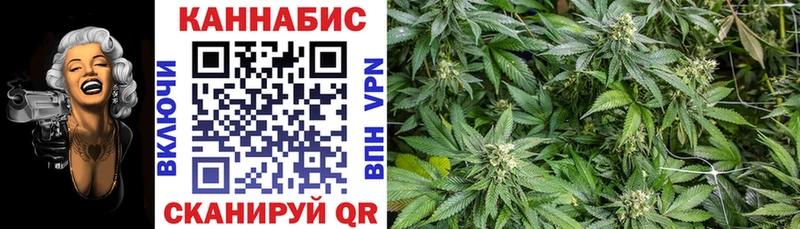кракен ссылки  Кущёвская  Бошки Шишки ГИДРОПОН  цены  